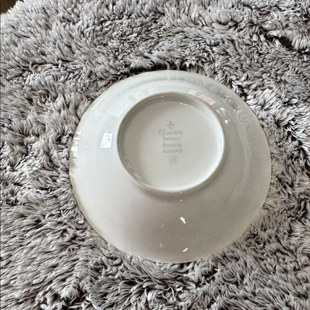 Winterling Bavaria‎ Germany Autumn Leaves Set of 4 Fruit Dessert Bowls 5.5